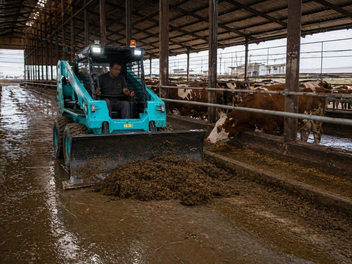 Dozer Bıçağı